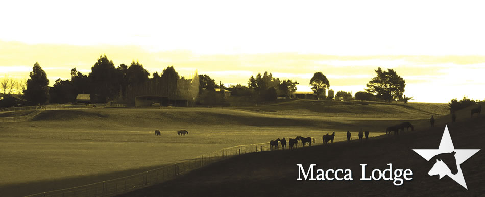 Macca Lodge Stud Farm