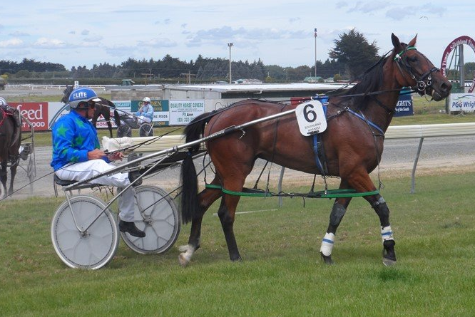 Bonnie's Khaleesi after her first win at Invercargill in February 2015.