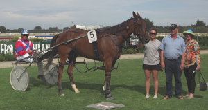 The latest Panspacificflight standout, Southern Pursuit, after his latest win at Invercargill. Photo courtesy Bruce Stewart, southlandharness.co.nz