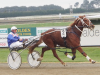Reciprocity cruises to victory at Invercargill on 01 October